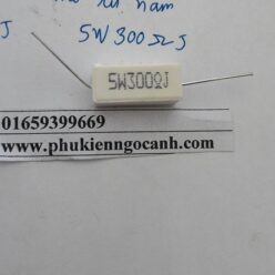 Trở xứ nằm 5W 300RJ hàng mới đảm bảo chất lượng nguyên zin