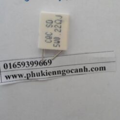 Trở xứ đứng 5W 0.22RJ hàng mới đảm bảo chất lượng tốt