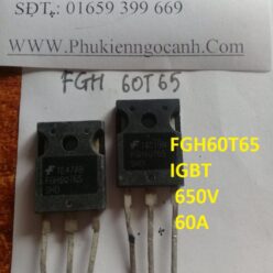 FGH60T65