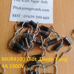 MUR4100