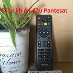 Điều khiển đầu Pantesat